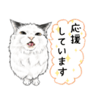 敬語編 猫にまみれたがりのスタンプ（個別スタンプ：18）