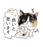 敬語編 猫にまみれたがりのスタンプ（個別スタンプ：19）