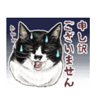 敬語編 猫にまみれたがりのスタンプ（個別スタンプ：24）