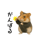 動く！ハムスターズ（個別スタンプ：6）