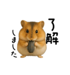動く！ハムスターズ（個別スタンプ：12）