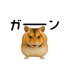 動く！ハムスターズ（個別スタンプ：13）