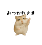 動く！ハムスターズ（個別スタンプ：18）