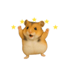 動く！ハムスターズ（個別スタンプ：22）