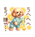 トイプーの大人かわいい日常（個別スタンプ：9）