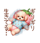 トイプーの大人かわいい日常（個別スタンプ：13）