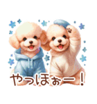 トイプーの大人かわいい日常（個別スタンプ：14）