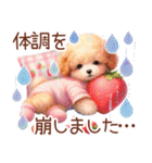 トイプーの大人かわいい日常（個別スタンプ：37）