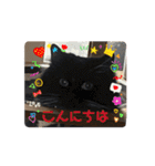 ねこねこぴのこ7（個別スタンプ：4）