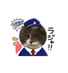 ねこねこぴのこ7（個別スタンプ：12）