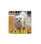 めりる動くスタンプ（個別スタンプ：3）