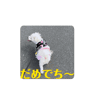 めりる動くスタンプ（個別スタンプ：6）