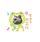 タマちゃんのつぶやきスタンプ（個別スタンプ：3）