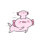 動く！なんだかゆるいウーパールーパー（個別スタンプ：10）
