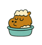 色んな表情するカピパラ（個別スタンプ：25）