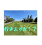 写真申請4（個別スタンプ：5）