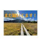 写真申請4（個別スタンプ：6）