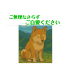 写真申請4（個別スタンプ：11）