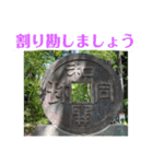 写真申請4（個別スタンプ：16）