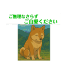 写真申請3（個別スタンプ：10）