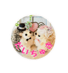 言いたいけど言えない言葉（個別スタンプ：16）