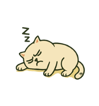 猫のボスの毎日の指示（個別スタンプ：9）