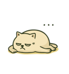 猫のボスの毎日の指示（個別スタンプ：12）