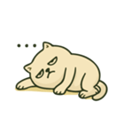 猫のボスの毎日の指示（個別スタンプ：16）