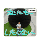 スケボージジィ③（個別スタンプ：28）
