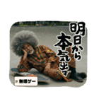 スケボージジィ③（個別スタンプ：32）