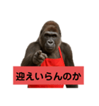 うちの母さん（ゴリラ）（個別スタンプ：18）