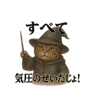 意外と使える！猫caféRagDollおふざけVer.（個別スタンプ：2）