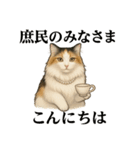 意外と使える！猫caféRagDollおふざけVer.（個別スタンプ：3）