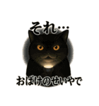 意外と使える！猫caféRagDollおふざけVer.（個別スタンプ：5）
