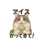 意外と使える！猫caféRagDollおふざけVer.（個別スタンプ：8）