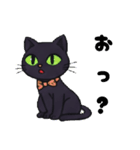 黒猫のぶー2505（個別スタンプ：12）
