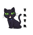 黒猫のぶー2505（個別スタンプ：13）