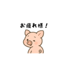 振り向き豚（個別スタンプ：1）