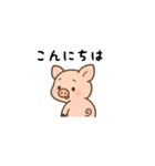 振り向き豚（個別スタンプ：6）