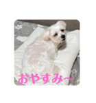 めりる250512（個別スタンプ：4）