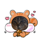 うちのnekoシリーズ4（個別スタンプ：2）