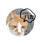うちのnekoシリーズ4（個別スタンプ：5）