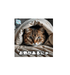 風邪の日の猫（個別スタンプ：1）