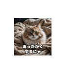 風邪の日の猫（個別スタンプ：4）