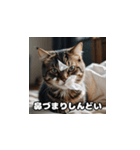 風邪の日の猫（個別スタンプ：6）