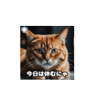 風邪の日の猫（個別スタンプ：9）