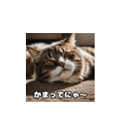 風邪の日の猫（個別スタンプ：10）