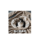 風邪の日の猫（個別スタンプ：11）