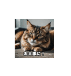 風邪の日の猫（個別スタンプ：13）