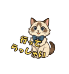 猫の子1（個別スタンプ：6）